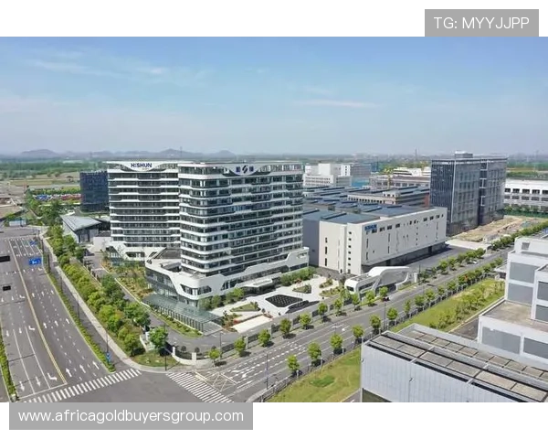 尊龙集团(Z6)全面解析：企业背景、发展历程与行业地位的深度剖析